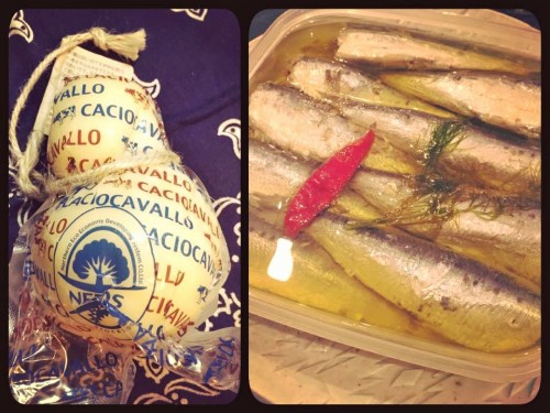 cheese & oiled sardine